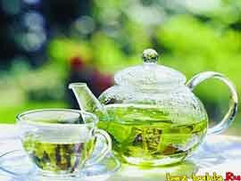 Свойства зеленого чая