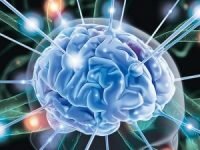 Улучшение работы мозга и памяти